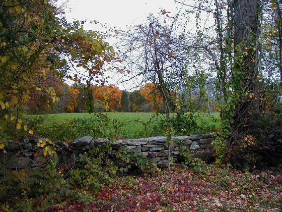 p1010625.jpg