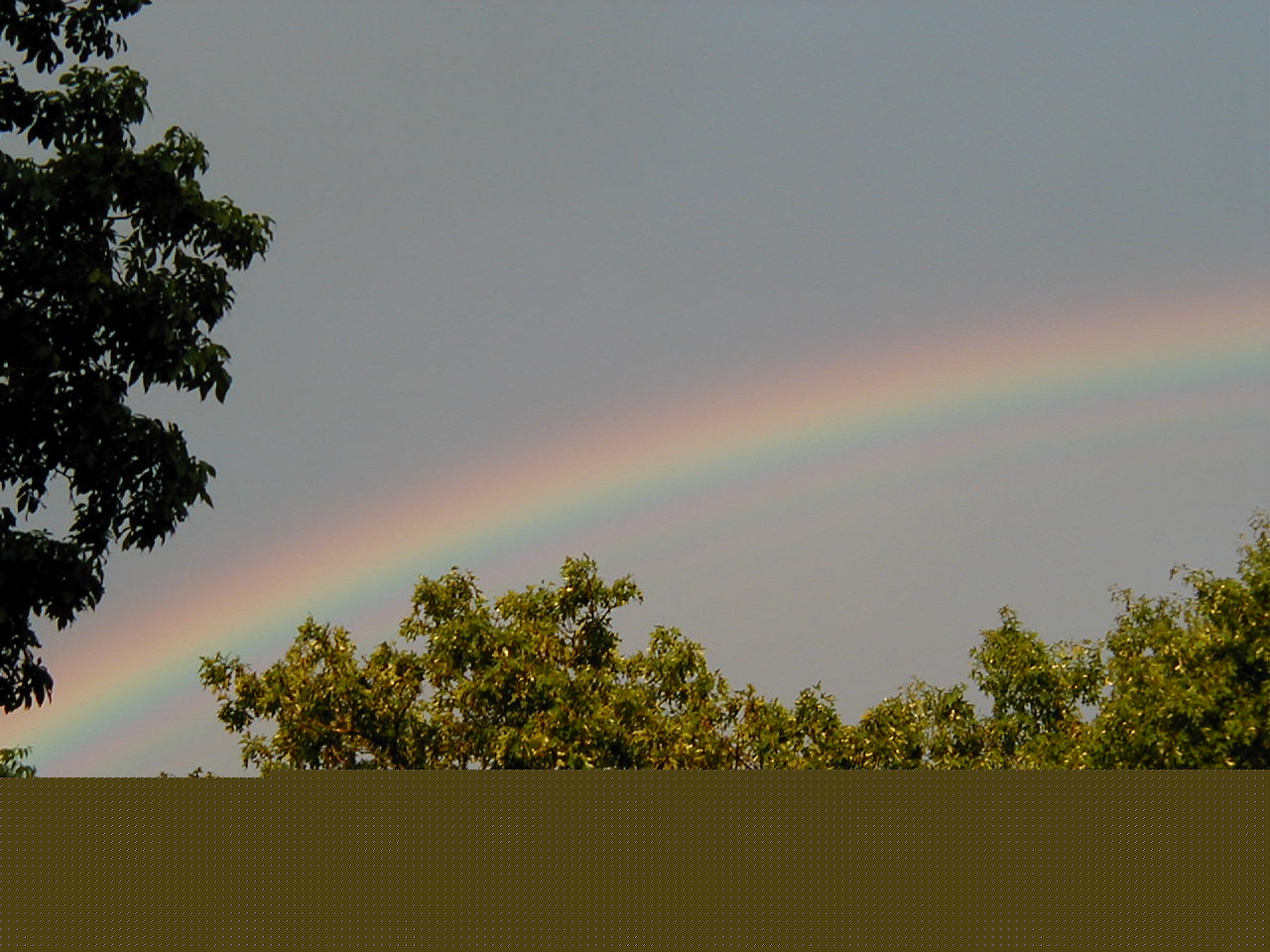 image016.jpg