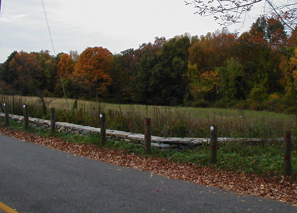 stonewhiteplains.jpg
